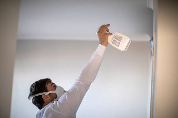 Attic Mold Removal in Orinda, CA