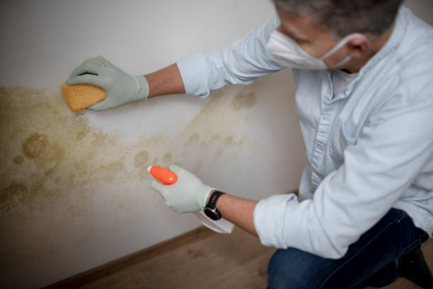 Water Damage Restoration in Orinda, CA