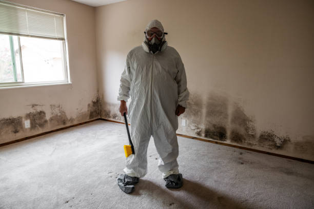 Best Residential Mold Removal  in Orinda, CA
